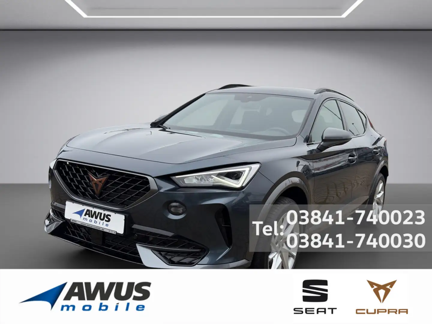 CUPRA Formentor 2.0TDI DSG Grau - 1