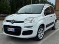 Fiat Panda Panda 0.9 TwinAir Turbo Natural Power Lounge 62 kw Bianco - thumbnail 5