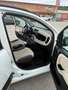Fiat Panda Panda 0.9 TwinAir Turbo Natural Power Lounge 62 kw Bianco - thumbnail 6