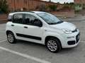 Fiat Panda Panda 0.9 TwinAir Turbo Natural Power Lounge 62 kw Bianco - thumbnail 3