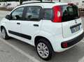 Fiat Panda Panda 0.9 TwinAir Turbo Natural Power Lounge 62 kw Bianco - thumbnail 4
