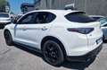 Alfa Romeo Stelvio 2.2 t Veloce Q4 210cv auto Bianco - thumbnail 11