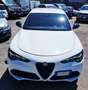Alfa Romeo Stelvio 2.2 t Veloce Q4 210cv auto Bianco - thumbnail 8