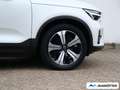 Volvo XC40 Recharge Single Motor  STHZ/PANO/Wärmepumpe Weiß - thumbnail 7