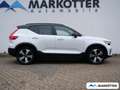 Volvo XC40 Recharge Single Motor  STHZ/PANO/Wärmepumpe Weiß - thumbnail 4