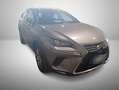 Lexus NX 300 Kamera/ACC/AUT/KeyLess/LED/Navi/RFK/PDC Grau - thumbnail 6