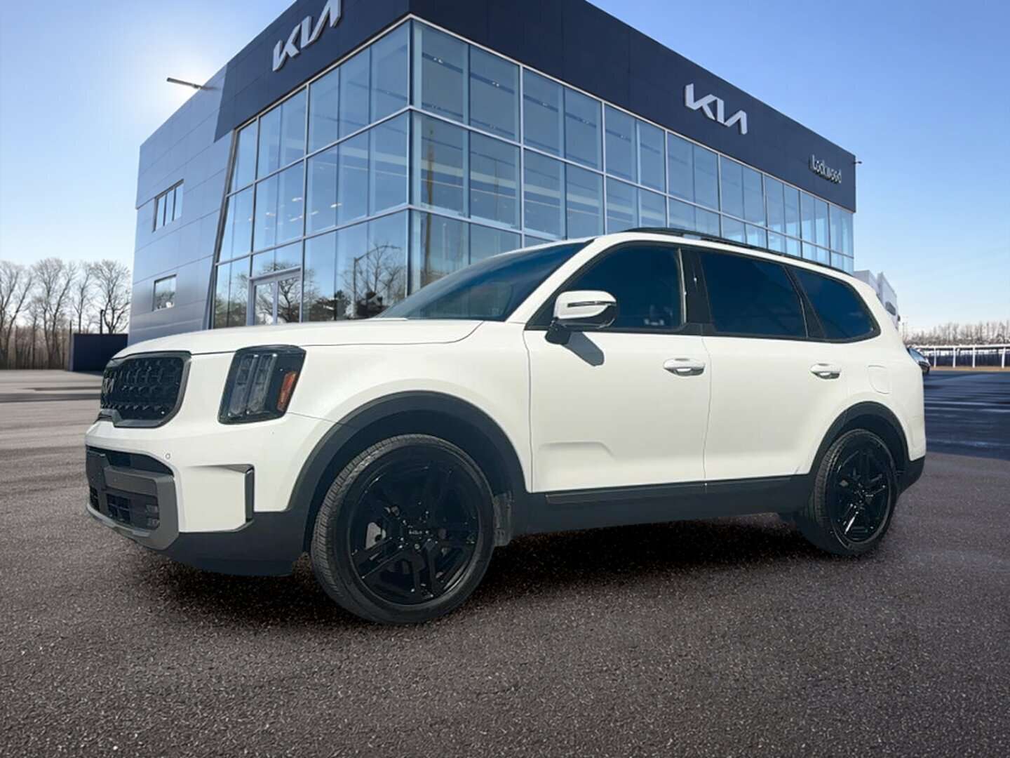 used 2023 Kia Telluride car, priced at $45,999