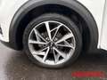 Kia Niro 1.6 HEV DCT Spirit Allwetter Navi Digitales Cockpi Bianco - thumbnail 14