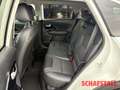 Kia Niro 1.6 HEV DCT Spirit Allwetter Navi Digitales Cockpi Bianco - thumbnail 15