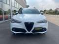 Alfa Romeo Stelvio Stelvio 2.2 Executive Q4 210cv Blanc - thumbnail 2