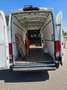 Iveco Daily 35 S 16SA8 V L Weiß - thumbnail 14