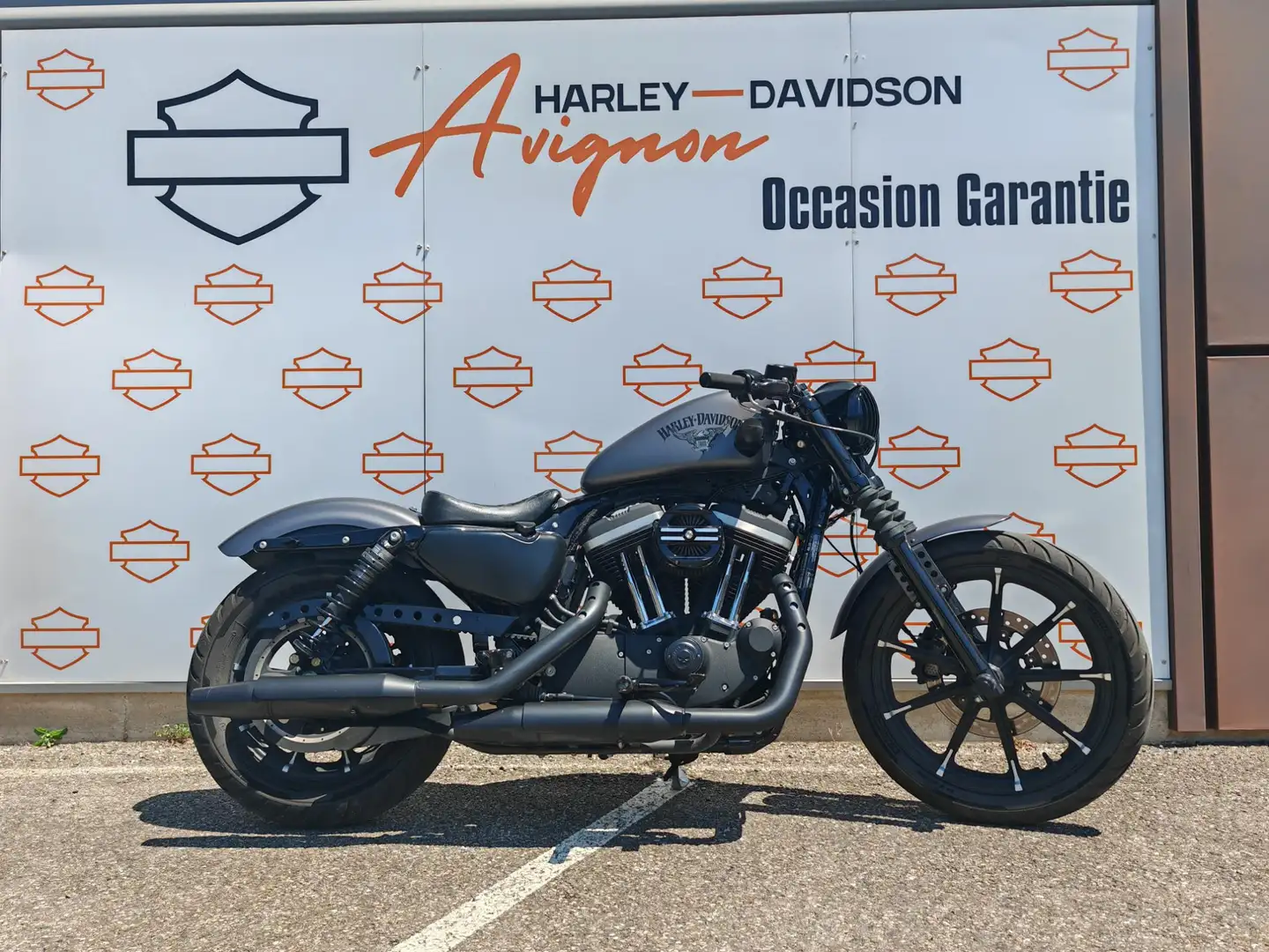 Harley-Davidson Sportster Gris - 1