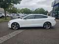 Audi A5 Sportback 3.0 TDI quattro Sline Plus Blanc - thumbnail 4