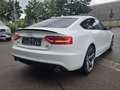 Audi A5 Sportback 3.0 TDI quattro Sline Plus Blanc - thumbnail 6