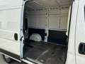 Fiat Ducato Hochr.-Kasten 30 130 L2H2 RS: 3450 mm Wit - thumbnail 10