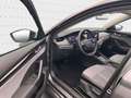 Skoda Octavia Combi 1.5 TSI e-TEC DSG SELECTION*MATRIX Grau - thumbnail 14