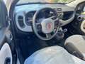 Fiat Panda 1.2 LOUNGE easypower Gpl 69cv OK NEOPATENT. PERF. Beige - thumbnail 9