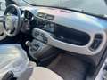 Fiat Panda 1.2 LOUNGE easypower Gpl 69cv OK NEOPATENT. PERF. Beige - thumbnail 11