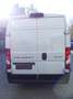 Fiat Ducato Maxi Kasten 35 160 L5H2 TREKKING/VOLL-LED Blanco - thumbnail 16