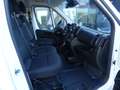 Fiat Ducato Maxi Kasten 35 160 L5H2 TREKKING/VOLL-LED Blanco - thumbnail 24