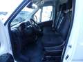 Fiat Ducato Maxi Kasten 35 160 L5H2 TREKKING/VOLL-LED Blanco - thumbnail 3