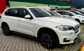 BMW X5 X5 F15 xdrive30d Experience 258cv auto Bianco - thumbnail 1