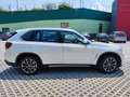 BMW X5 X5 F15 xdrive30d Experience 258cv auto Biały - thumbnail 8