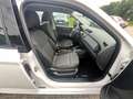 Skoda Fabia Red & Grey Alb - thumbnail 13
