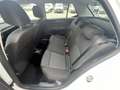 Skoda Fabia Red & Grey Alb - thumbnail 10