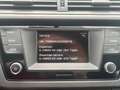 Skoda Fabia Red & Grey Alb - thumbnail 22