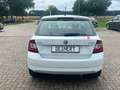 Skoda Fabia Red & Grey Alb - thumbnail 6