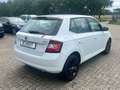 Skoda Fabia Red & Grey Alb - thumbnail 7