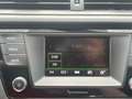 Skoda Fabia Red & Grey Alb - thumbnail 20