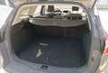 Ford Focus Ecoboost 1.6, SYNC-Edition Braun - thumbnail 8