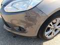 Ford Focus Ecoboost 1.6, SYNC-Edition Braun - thumbnail 7