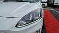 Ford Kuga 1.5 EcoBlue 120 ch auto Titanium Blanc - thumbnail 38