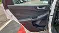 Ford Kuga 1.5 EcoBlue 120 ch auto Titanium Blanc - thumbnail 35