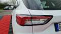 Ford Kuga 1.5 EcoBlue 120 ch auto Titanium Blanc - thumbnail 39