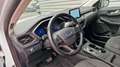 Ford Kuga 1.5 EcoBlue 120 ch auto Titanium Blanc - thumbnail 16