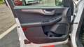 Ford Kuga 1.5 EcoBlue 120 ch auto Titanium Blanc - thumbnail 32