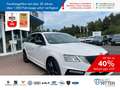 Skoda Octavia Combi 2.0 TDI DSG RS Challenge ACC+Ca... Blanco - thumbnail 1