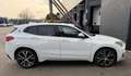BMW X2 SDrive18d High Executive Edition M-PAKKET/PANORAMA Weiß - thumbnail 7