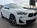 BMW X2 SDrive18d High Executive Edition M-PAKKET/PANORAMA Weiß - thumbnail 13
