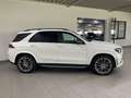 Mercedes-Benz GLE 300 d 4M AMG+NIGHT+PANO+AHK+AIR+LED+KAM+22" Blanc - thumbnail 2