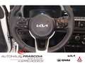 Kia Picanto 1.0 VISION Navi PDC SHZ Rückfahrkam Bluetooth Appl Blanc - thumbnail 14