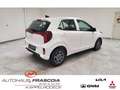 Kia Picanto 1.0 VISION Navi PDC SHZ Rückfahrkam Bluetooth Appl Blanc - thumbnail 5