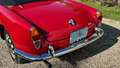 Alfa Romeo Giulia spider 1600 Rojo - thumbnail 20