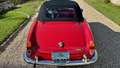 Alfa Romeo Giulia spider 1600 Rojo - thumbnail 19