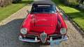 Alfa Romeo Giulia spider 1600 Rojo - thumbnail 29