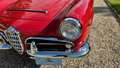 Alfa Romeo Giulia spider 1600 Rojo - thumbnail 22
